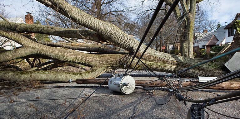 Green Village NJ Generator Installation